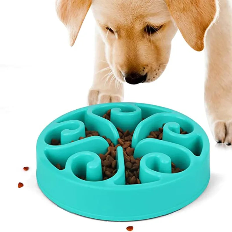 Dimensions du bol anti-glouton pour chien en centimetres