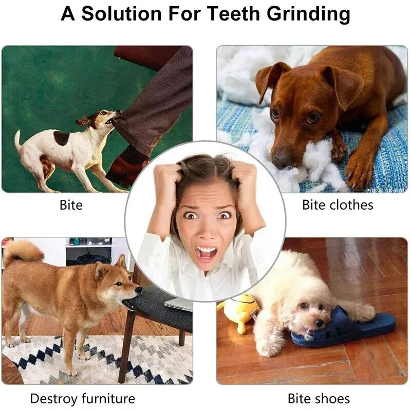 Balle de jeu pour chien – Jouet mordant en caoutchouc distributeur de friandises