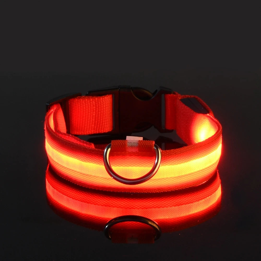 Laisse LED pour chien – Sécurité nocturne fluorescente en nylon