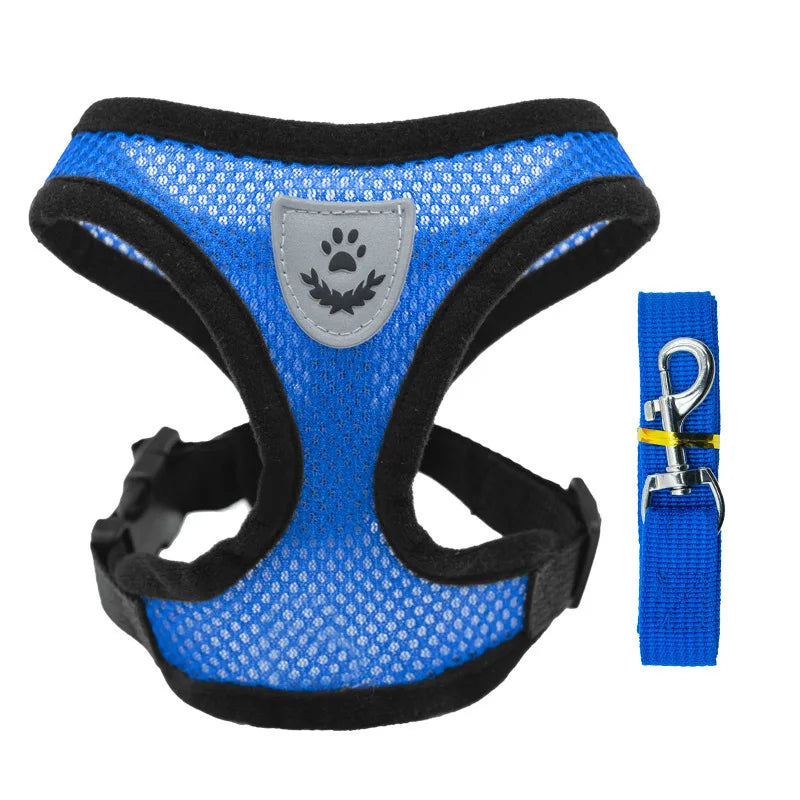 Harnais gilet ajustable avec laisse pour petit chien
