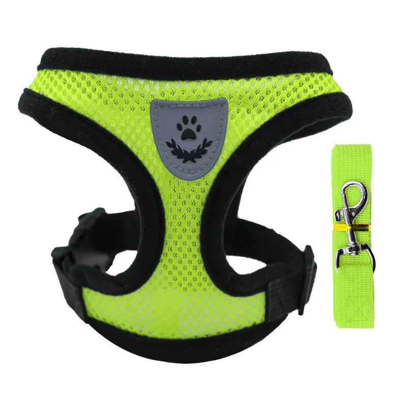 Petit chien portant le harnais gilet en balade