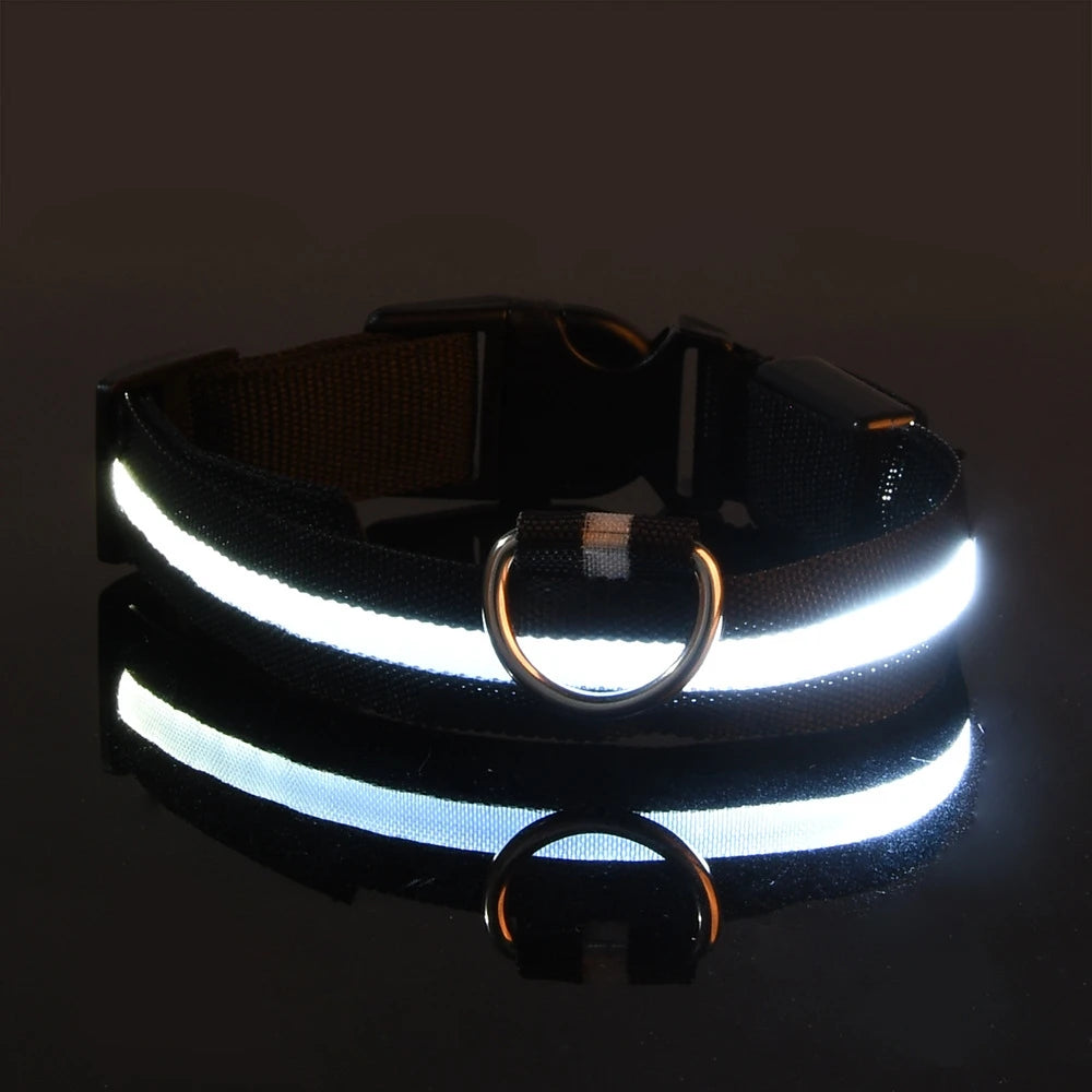 Laisse LED pour chien – Sécurité nocturne fluorescente en nylon