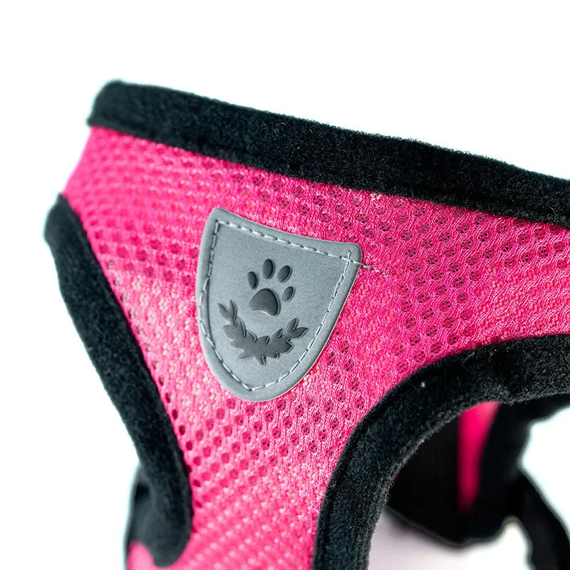Harnais gilet ajustable avec laisse pour petit chien