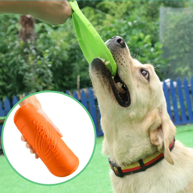 Disque volant en silicone pour chien