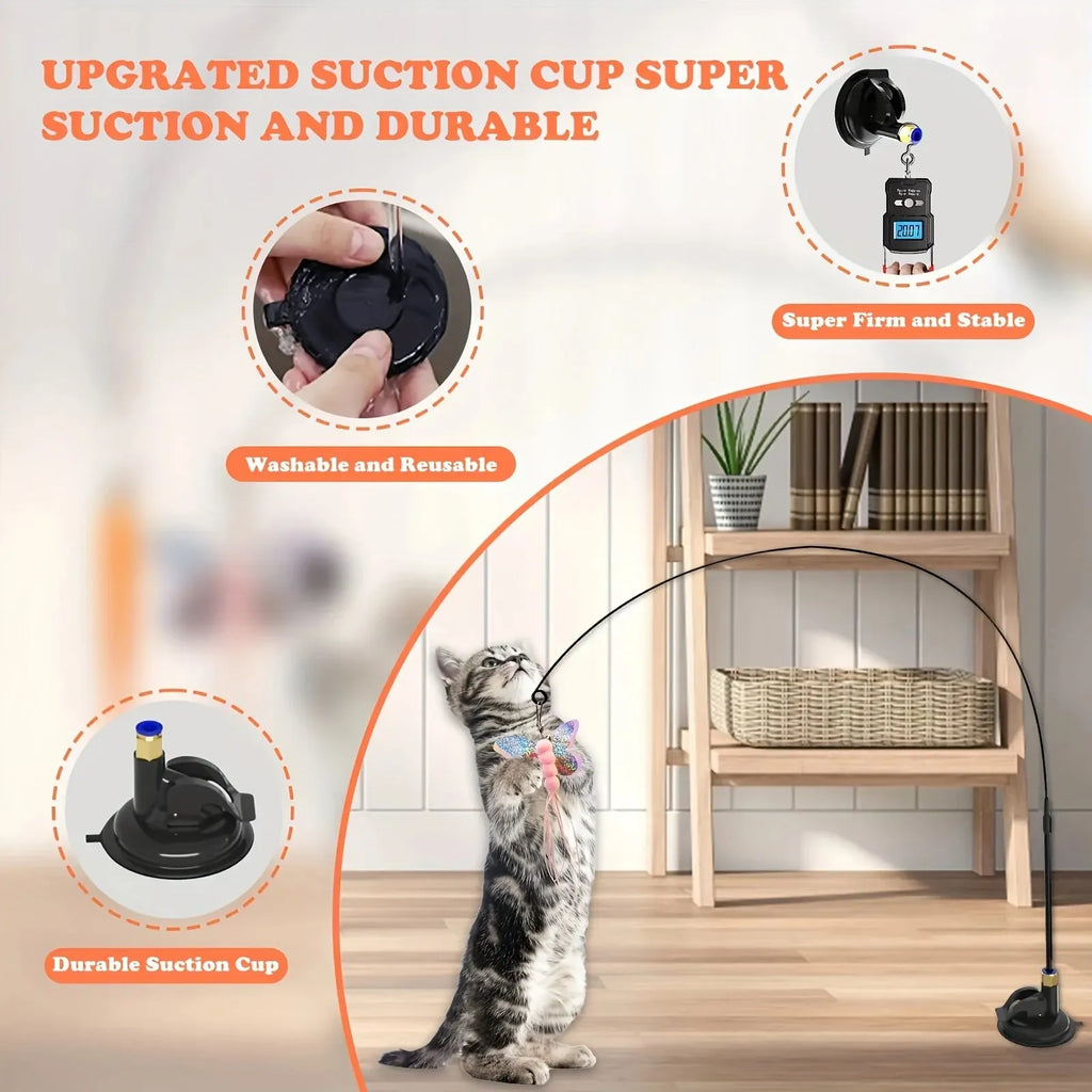 Plumes colorées du jouet interactif pour chat
