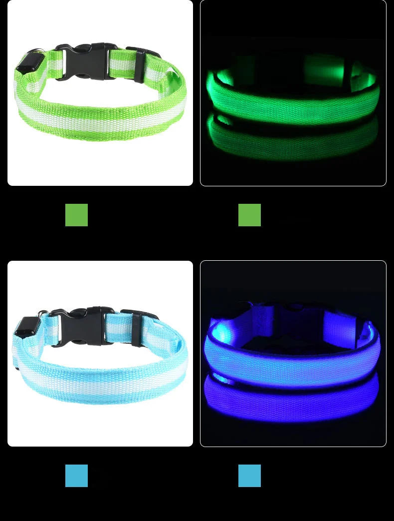 Laisse LED pour chien – Sécurité nocturne fluorescente en nylon