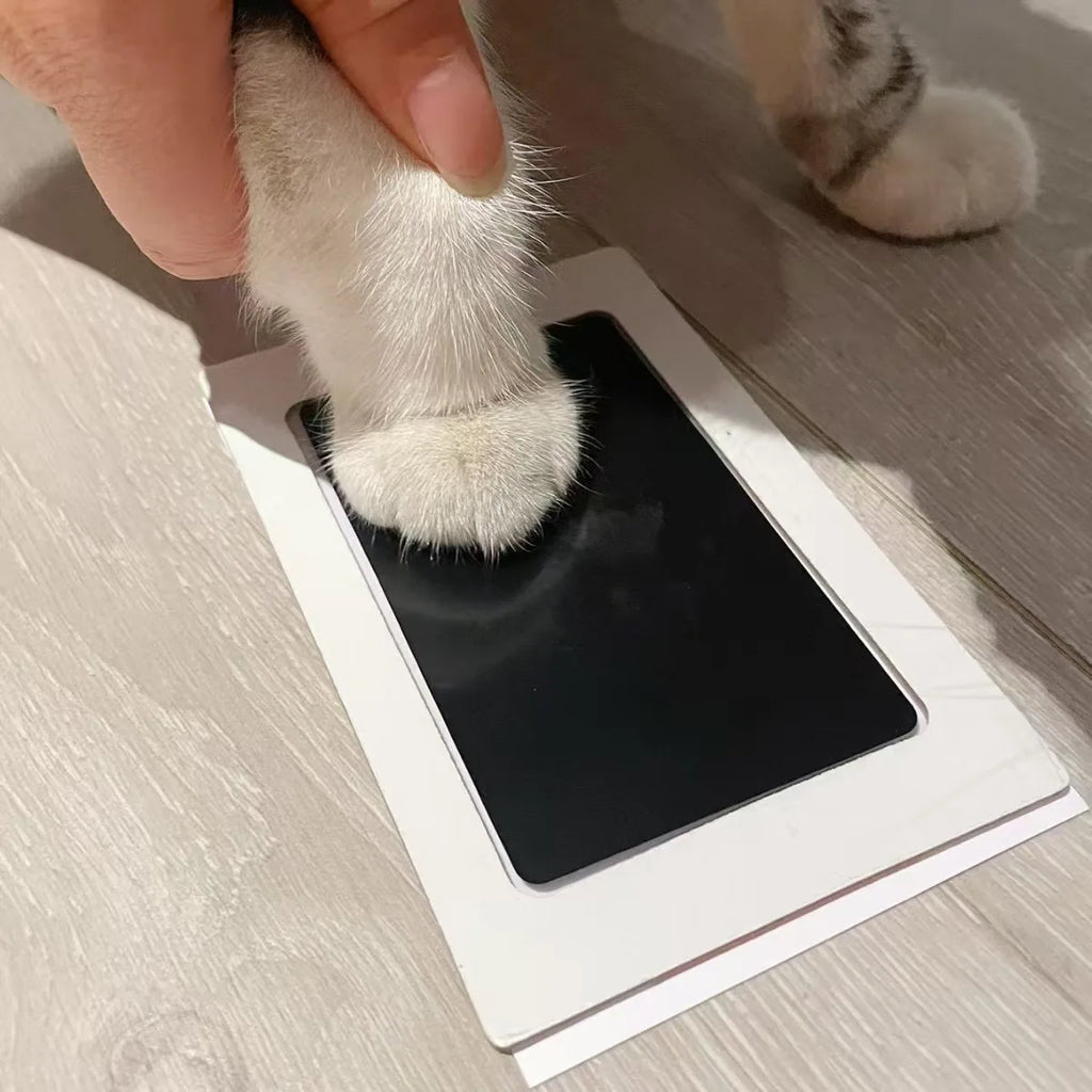 Empreinte de patte de chien réalisée avec le kit
