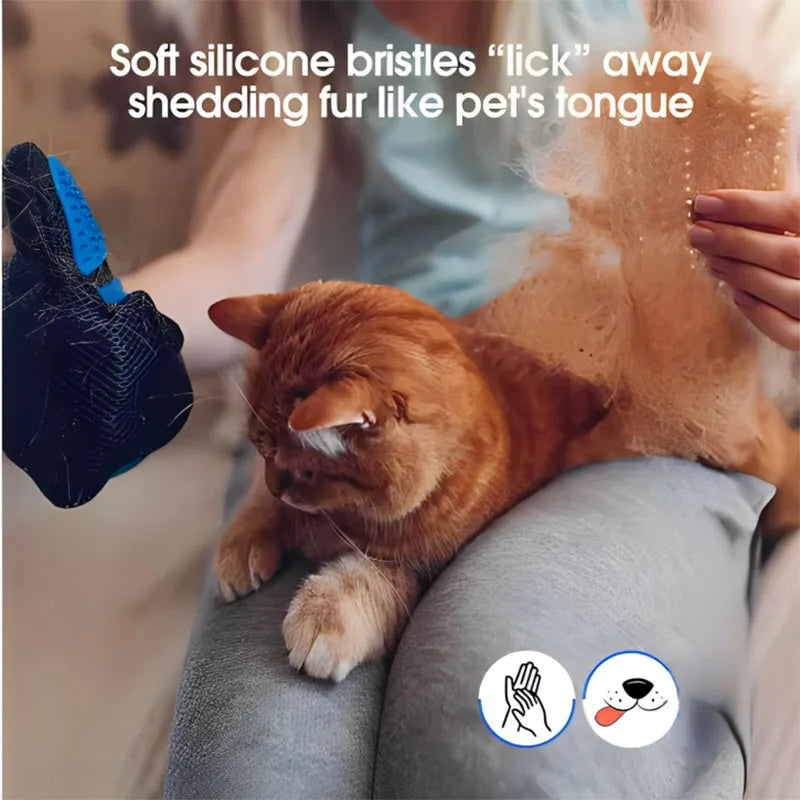 Gant de toilettage pour chien et chat – Massage & démêlage en silicone