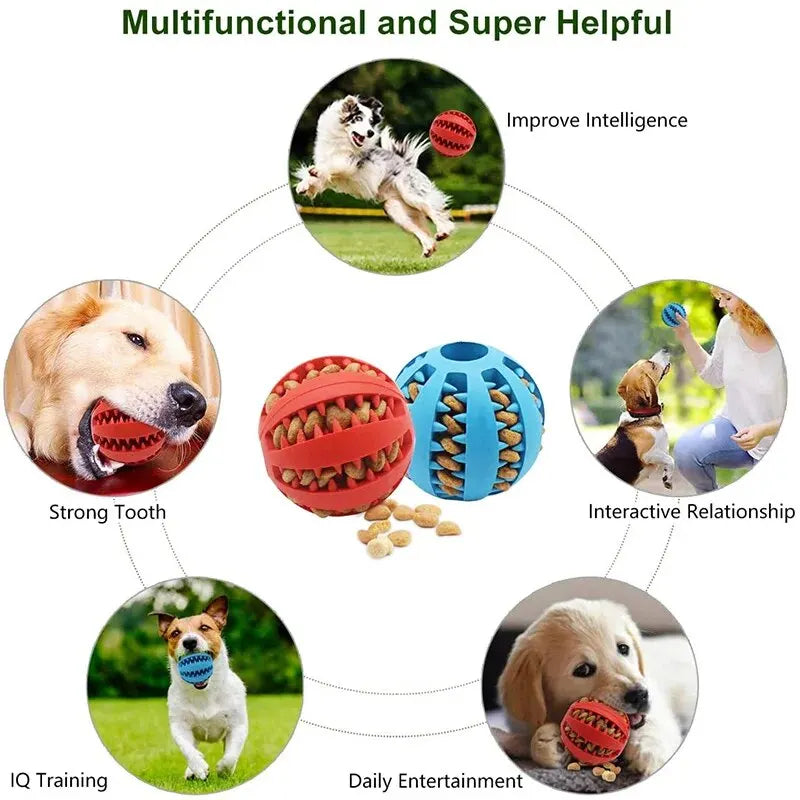 Balle de jeu pour chien – Jouet mordant en caoutchouc distributeur de friandises