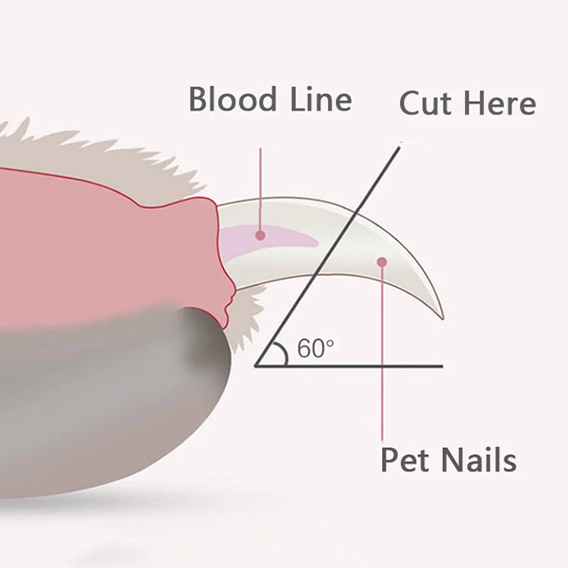 Coupe-griffes LED coloris rose pour chat