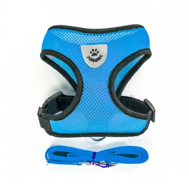 Ensemble des coloris du harnais mesh respirant