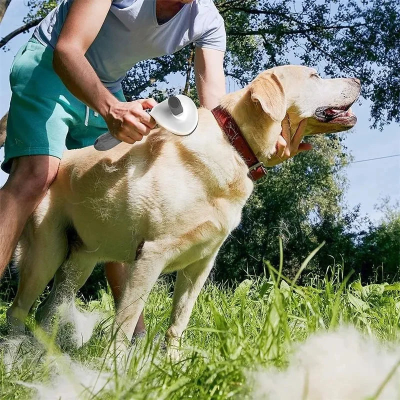 Brosse autonettoyante pour chien et chat – Démêlage & massage