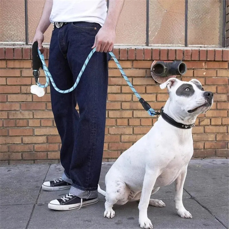 Laisse réfléchissante double résistance pour chien