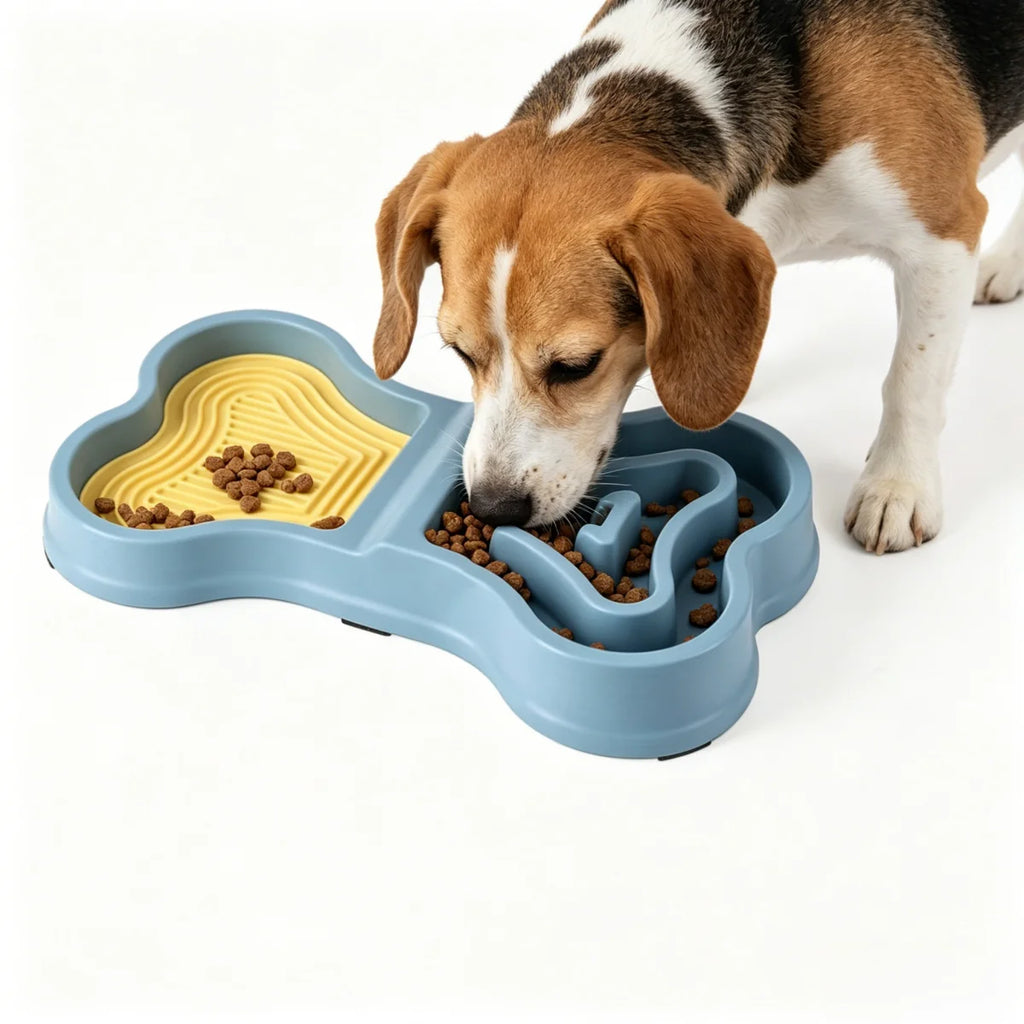 Bol Slow Feeder Double Compartiment en Forme d'Os – Antidérapant | Lento