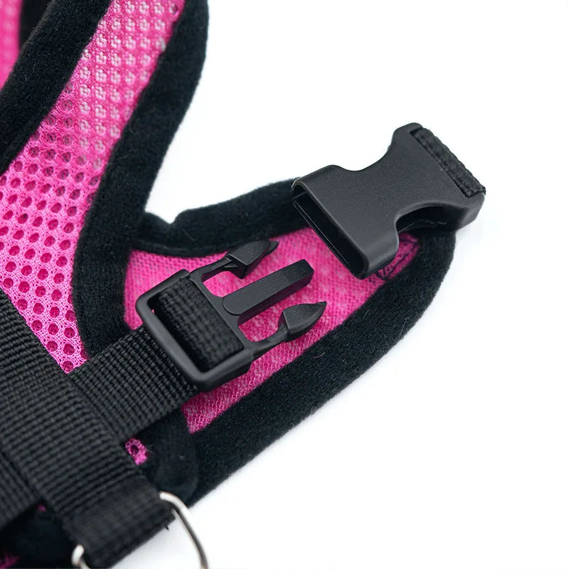 Harnais gilet ajustable avec laisse pour petit chien