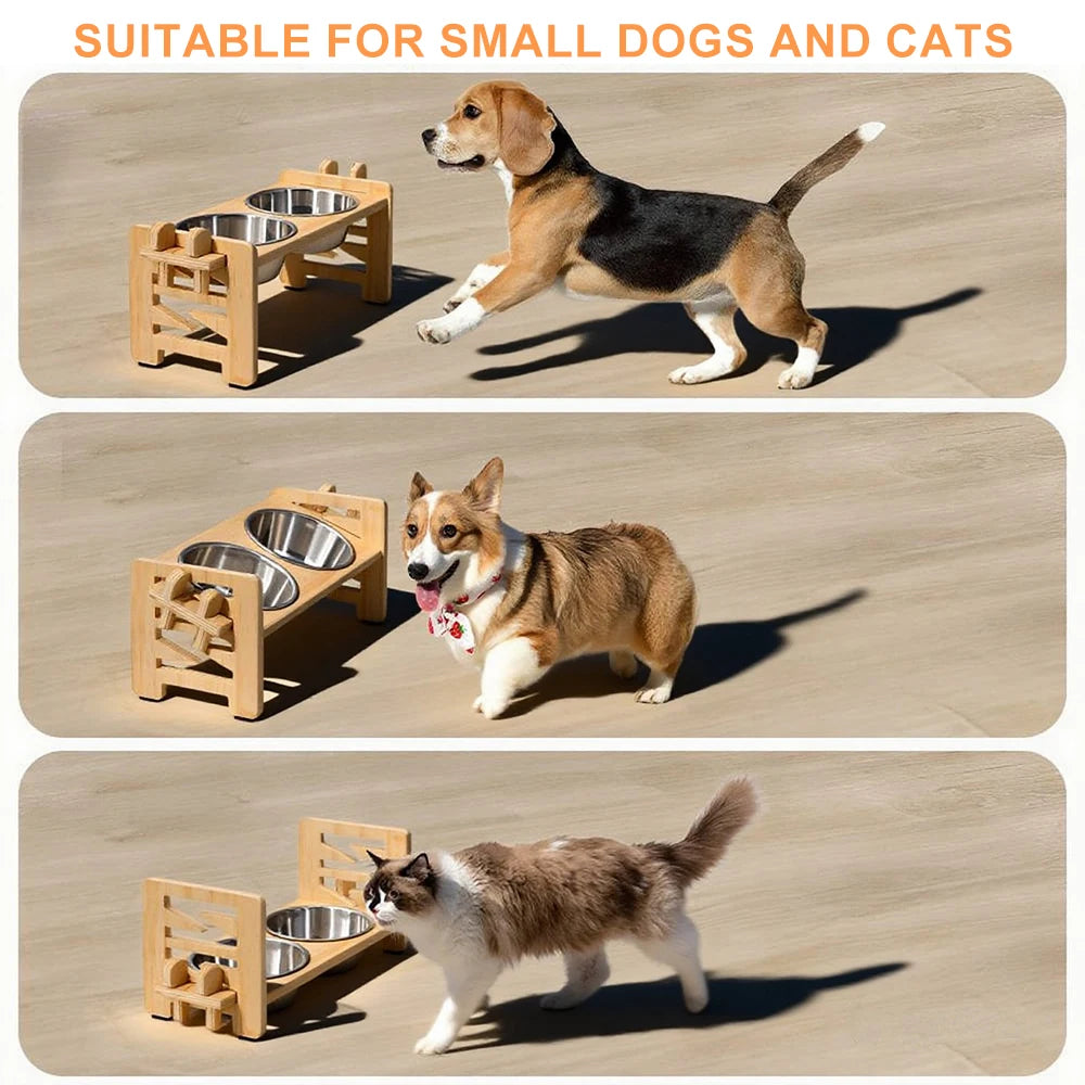 Gamelle Surélevée Réglable pour Petit Chien et Chat – 2 Bols Inox | Lento