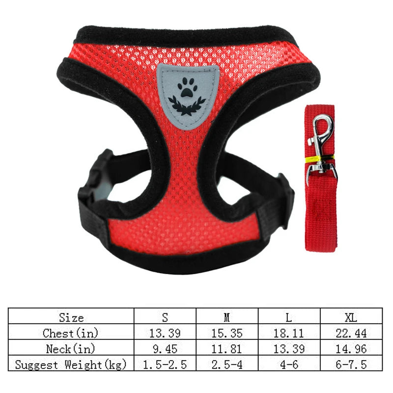 Harnais gilet ajustable avec laisse pour petit chien