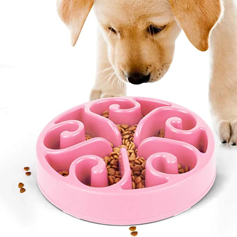Bol Slow Feeder Chien – Antidérapant & Anti-Glouton | Lento