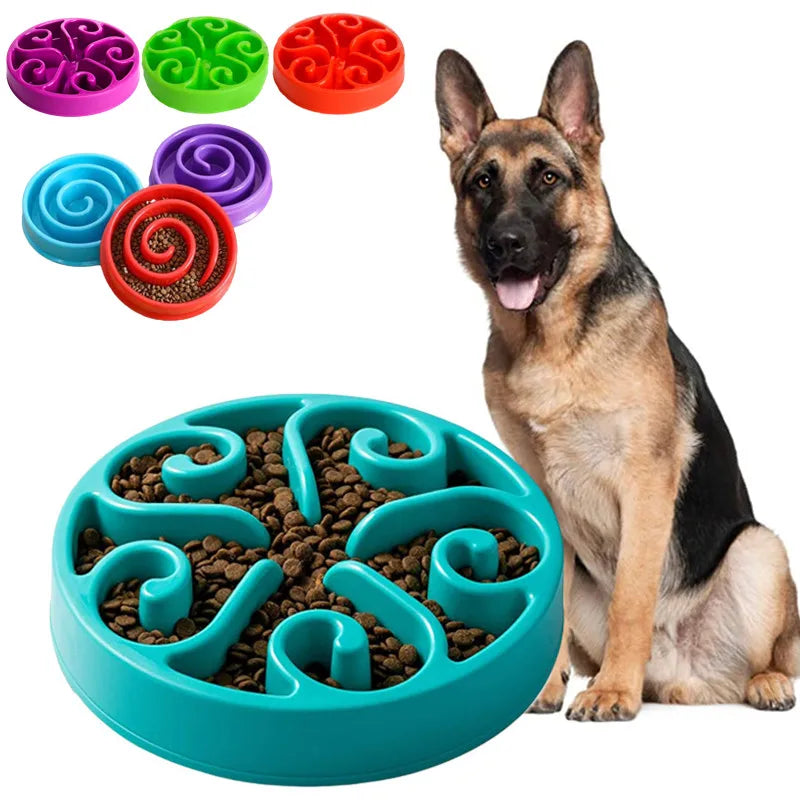 Bol Slow Feeder Chien – Antidérapant & Anti-Glouton | Lento