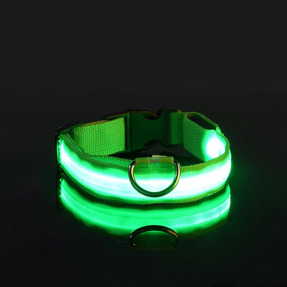 Laisse LED pour chien – Sécurité nocturne fluorescente en nylon
