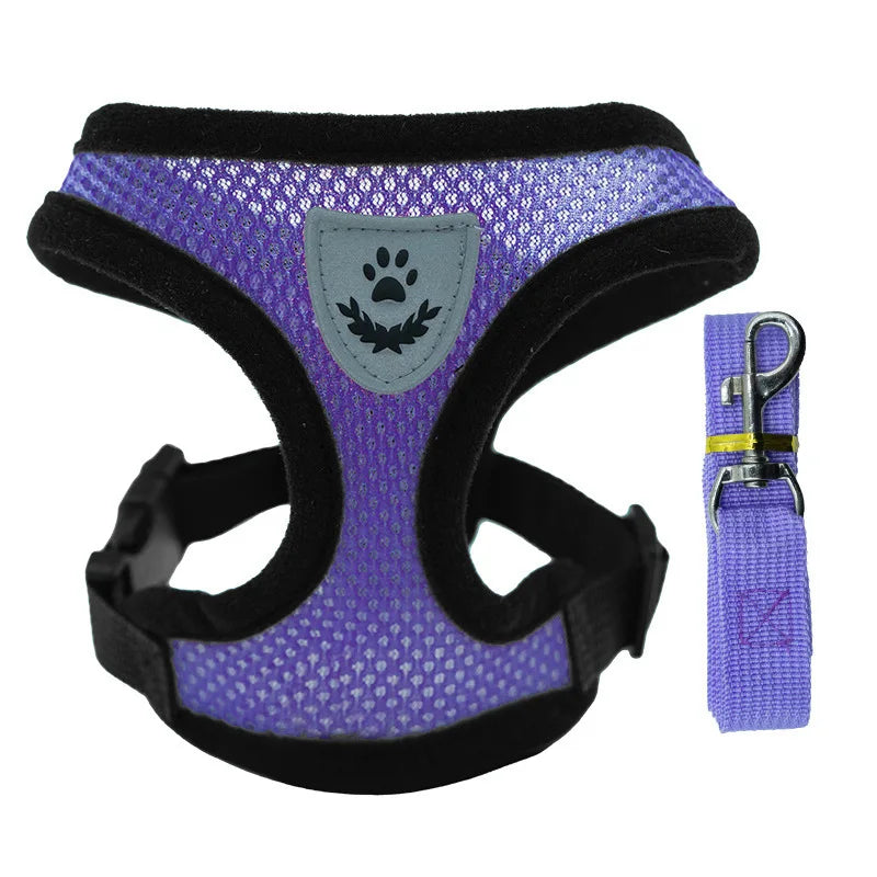 Ensemble des coloris du harnais gilet pour petit chien