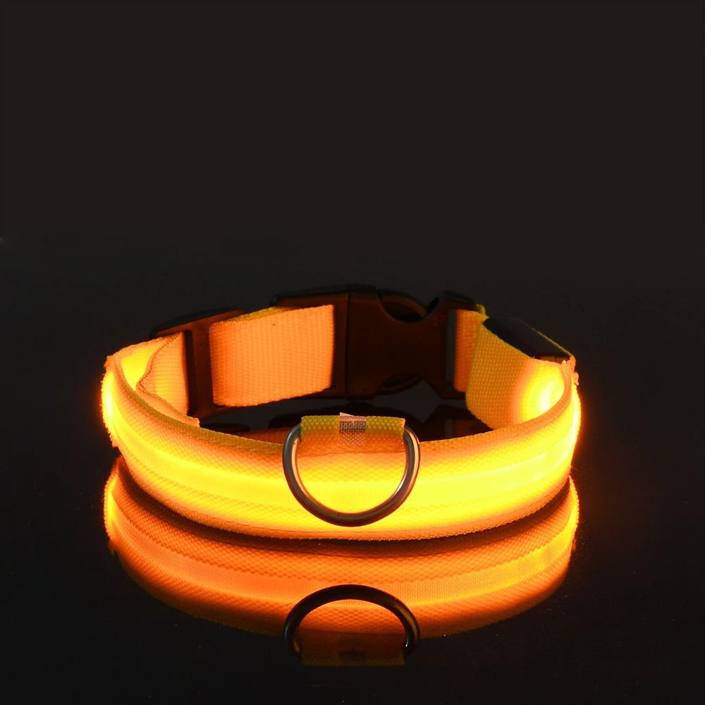 Laisse LED pour chien – Sécurité nocturne fluorescente en nylon