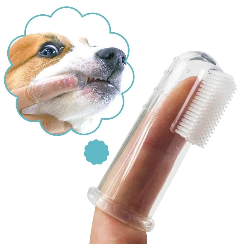 Brosse à Dents Doigt en Silicone pour Chien & Chat