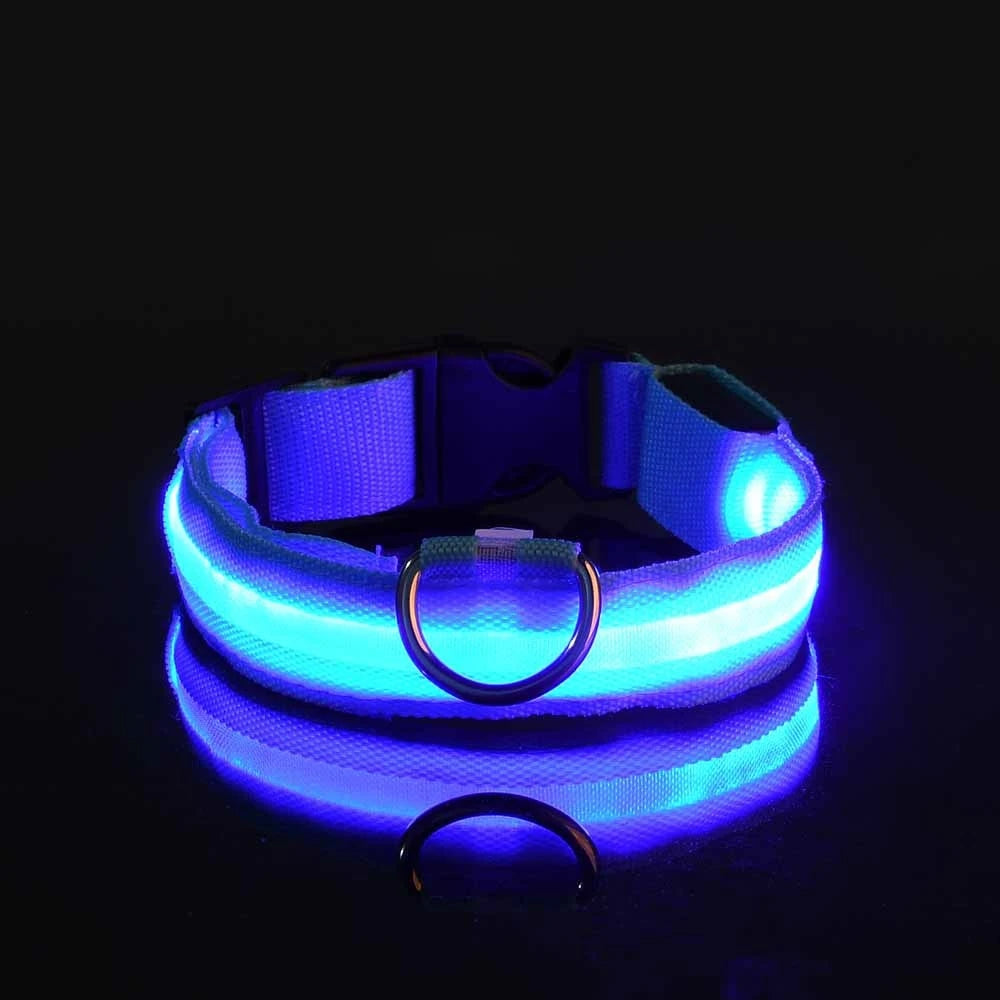 Laisse LED pour chien – Sécurité nocturne fluorescente en nylon
