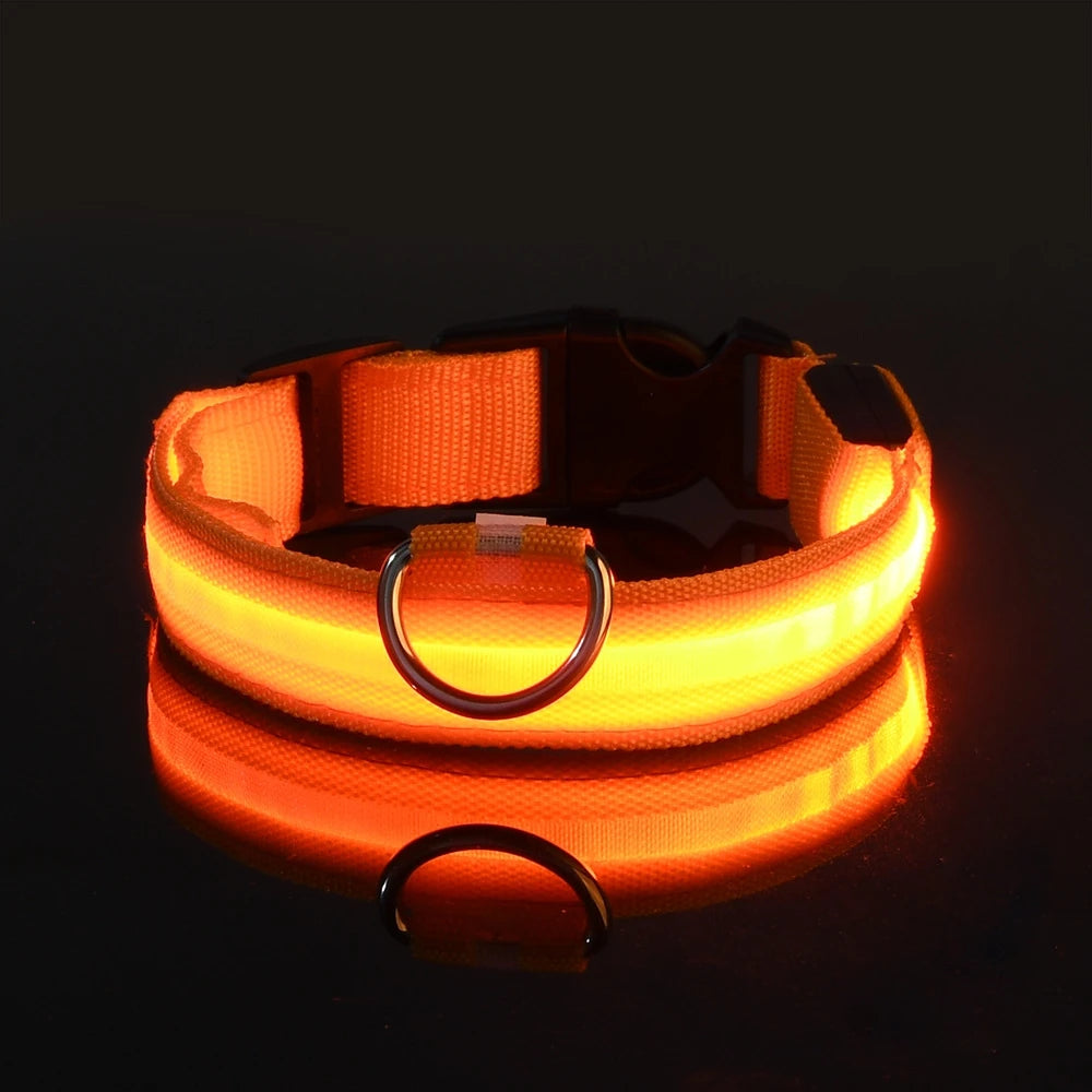 Laisse LED pour chien – Sécurité nocturne fluorescente en nylon