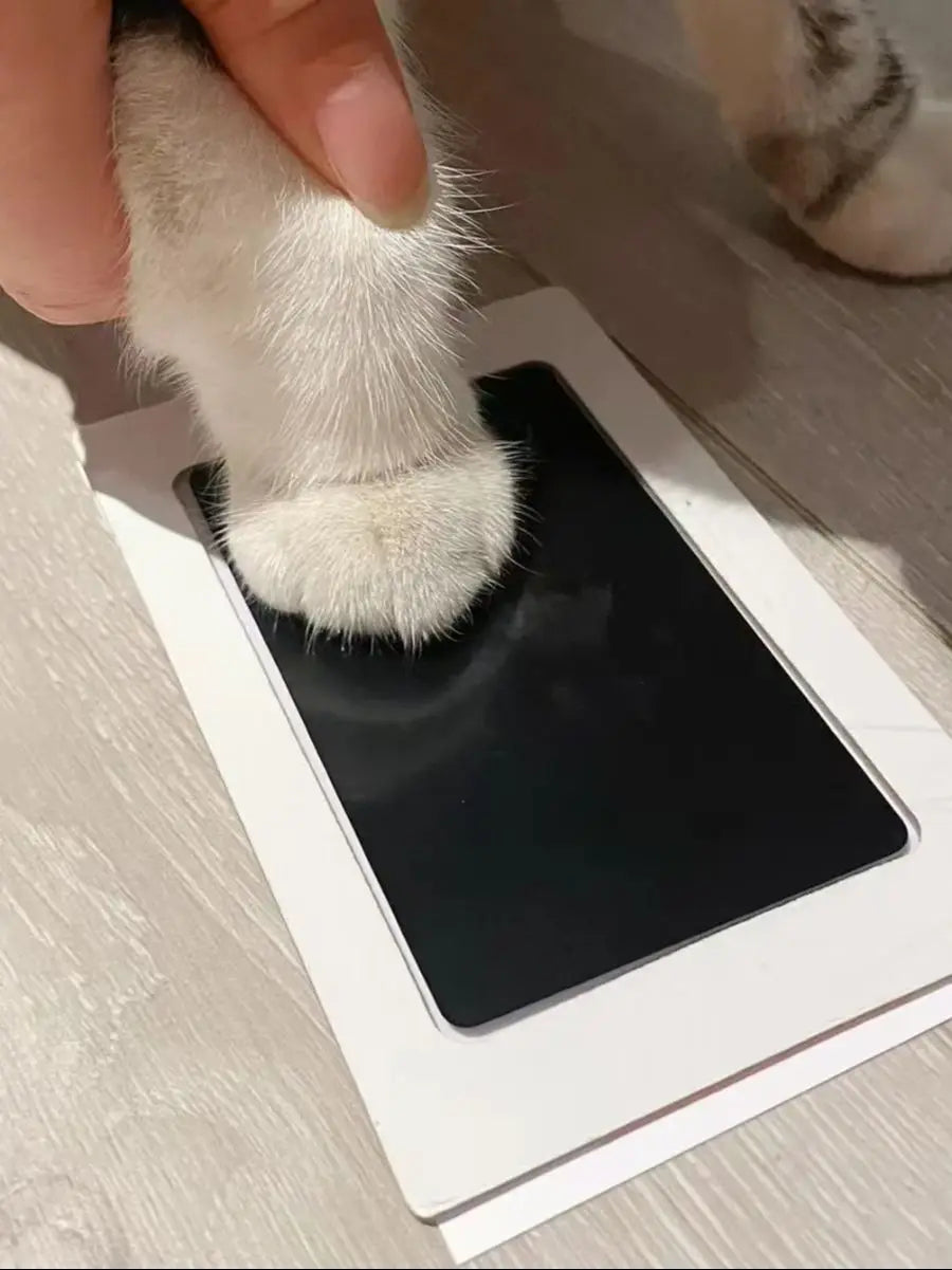 Kit empreintes patte, idée cadeau pour propriétaire d'animal