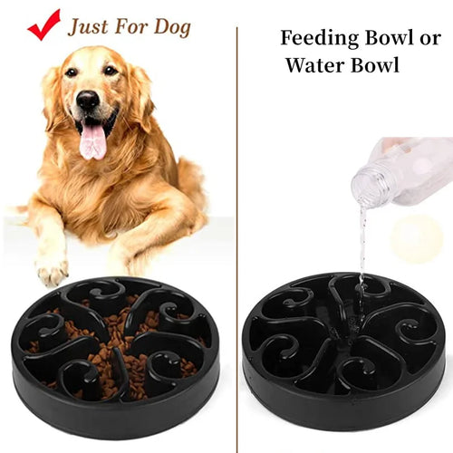 Bol Slow Feeder Chien – Antidérapant & Anti-Glouton | Lento