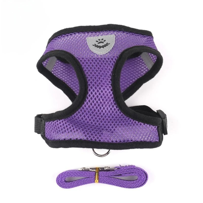 Harnais mesh respirant avec laisse pour chien et chat