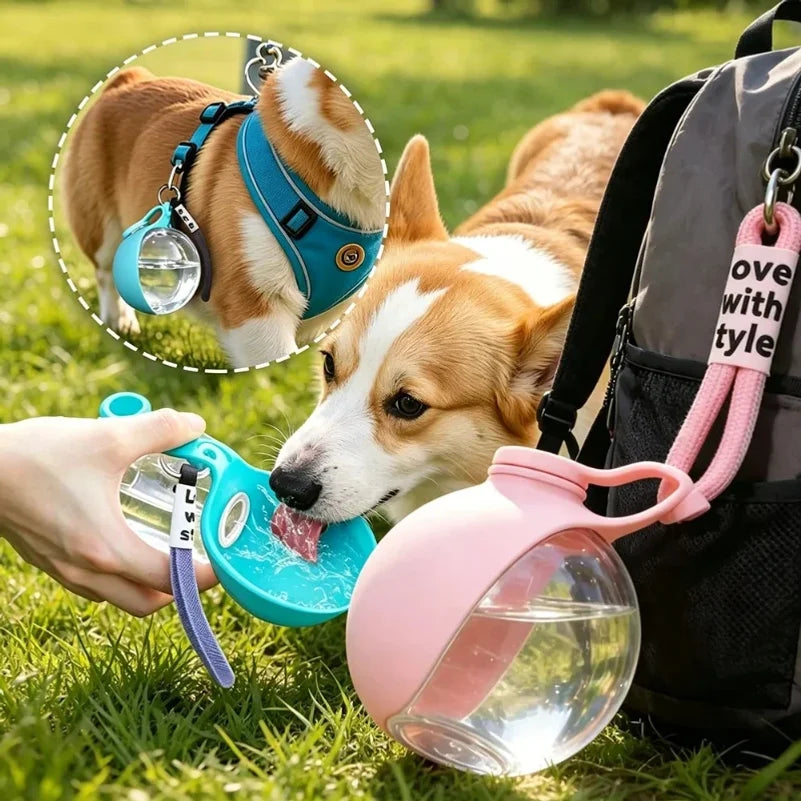 Gourde Portable pour Chien et Chat – 2-en-1 Anti-Fuite | Lento