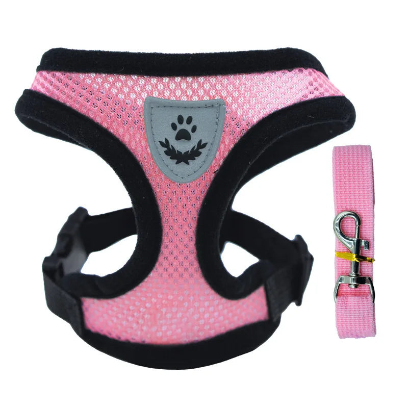 Chiot portant le harnais gilet ajustable