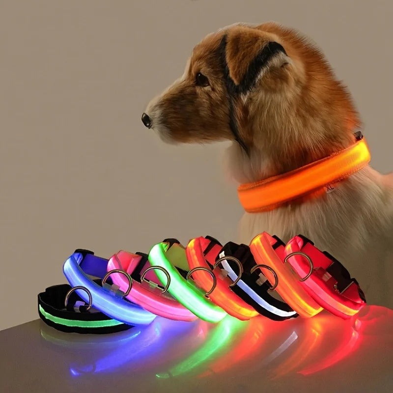 Laisse LED pour chien – Sécurité nocturne fluorescente en nylon
