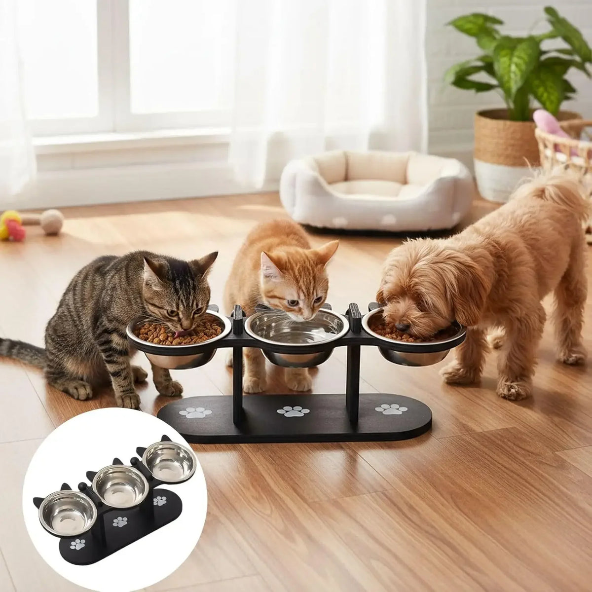 Gamelle Surélevée pour Chat – Support en Bois Noir & Bols Inox | Inclinaison 15°