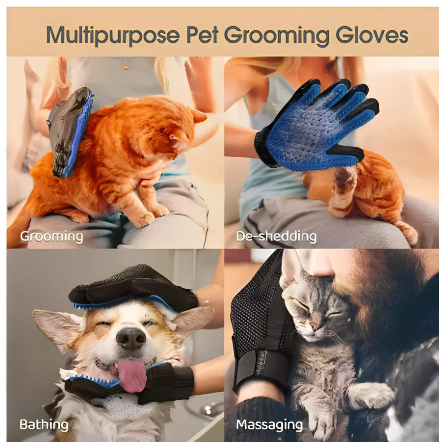 Gant de toilettage pour chien et chat – Massage & démêlage en silicone