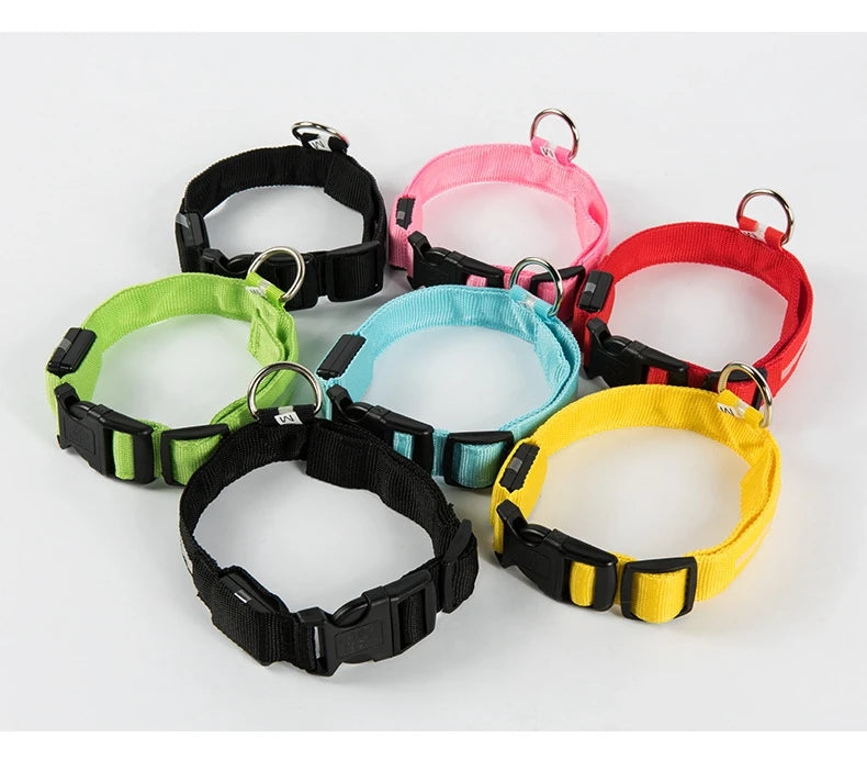 Laisse LED pour chien – Sécurité nocturne fluorescente en nylon