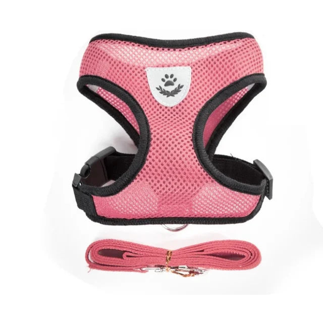 Harnais mesh respirant avec laisse pour chien et chat
