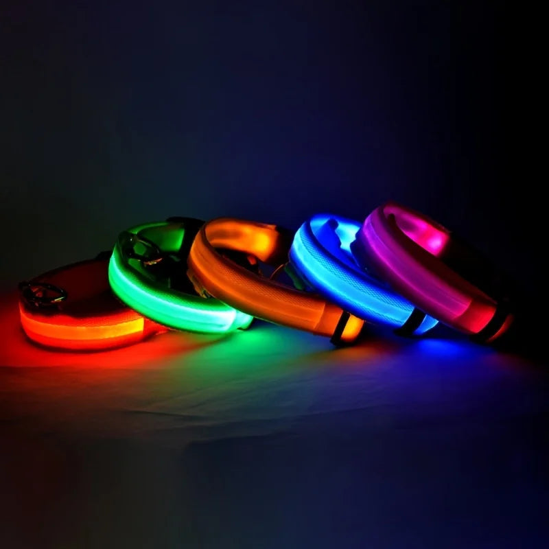 Laisse LED pour chien – Sécurité nocturne fluorescente en nylon