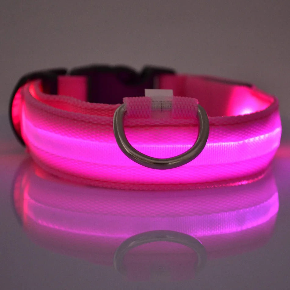 Laisse LED pour chien – Sécurité nocturne fluorescente en nylon