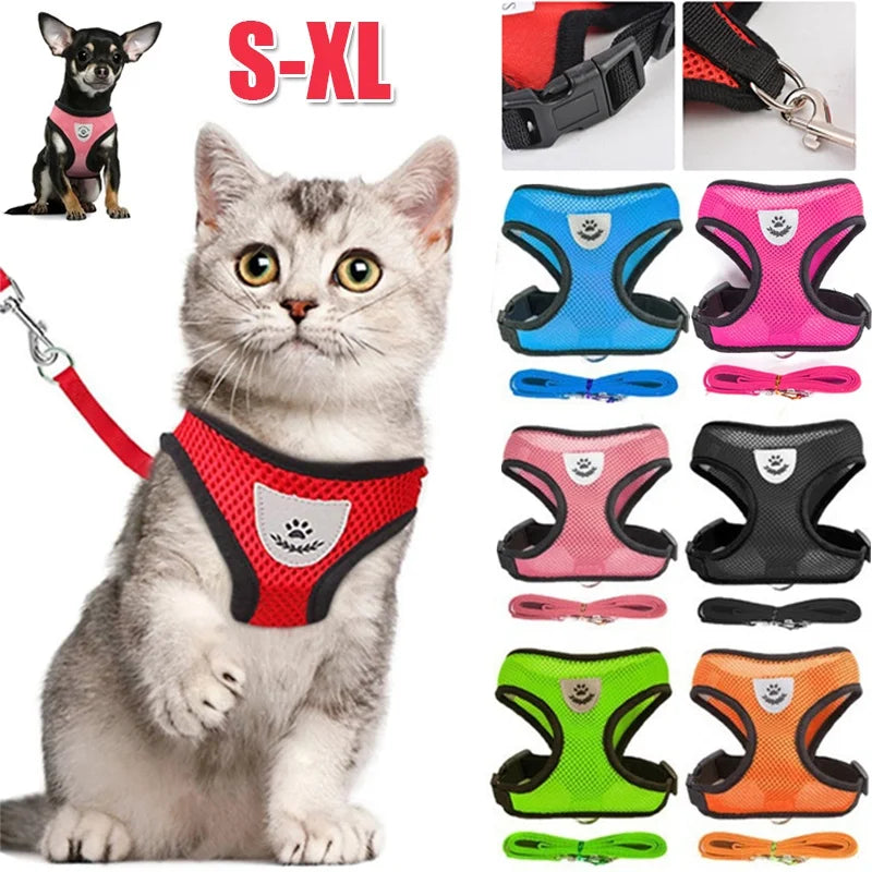 Harnais mesh respirant avec laisse pour chien et chat