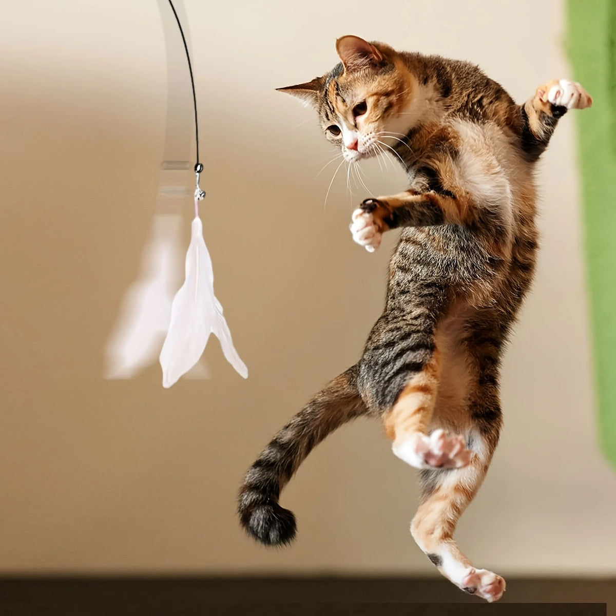 Canne à pêche pour chat coloris rose