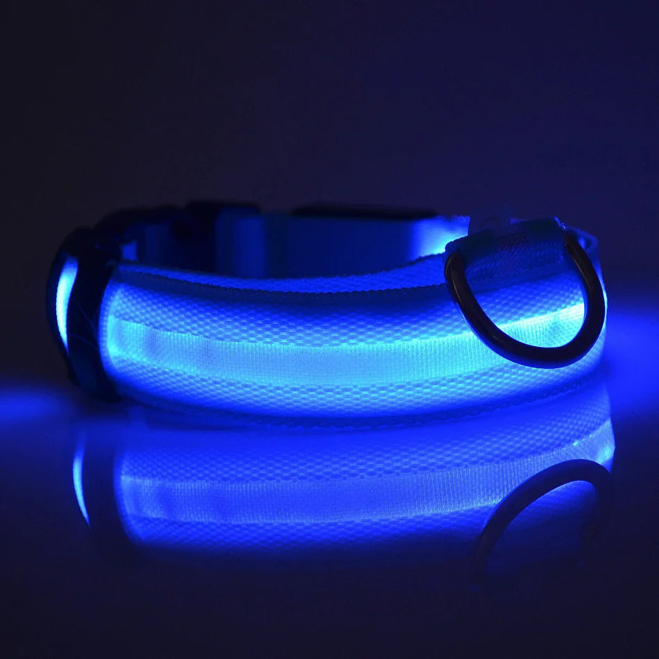 Laisse LED pour chien – Sécurité nocturne fluorescente en nylon