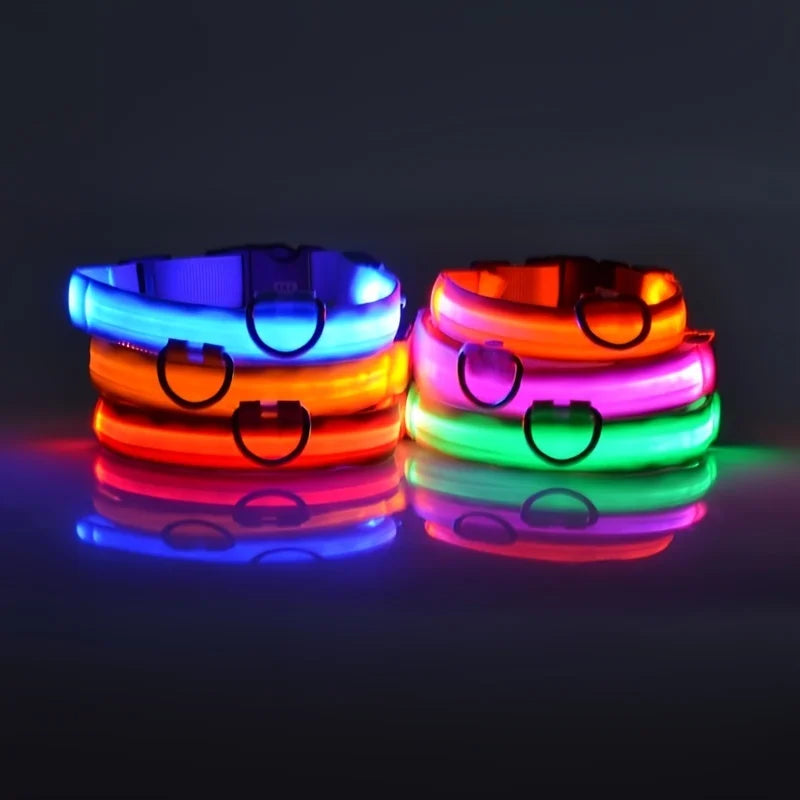 Laisse LED pour chien – Sécurité nocturne fluorescente en nylon