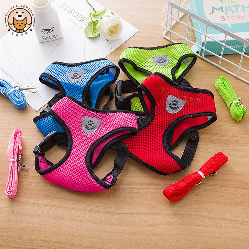 Harnais gilet ajustable avec laisse pour petit chien