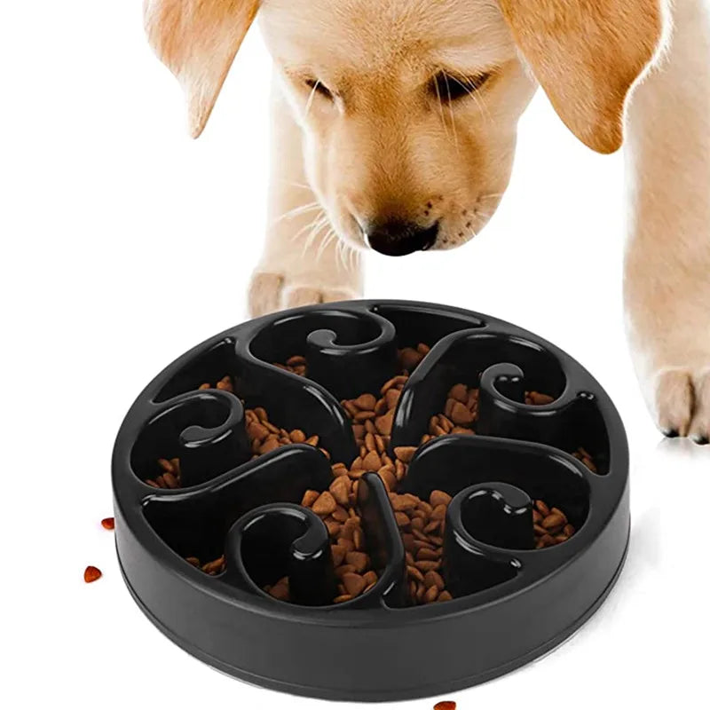 Ensemble des coloris disponibles du bol slow feeder pour chien