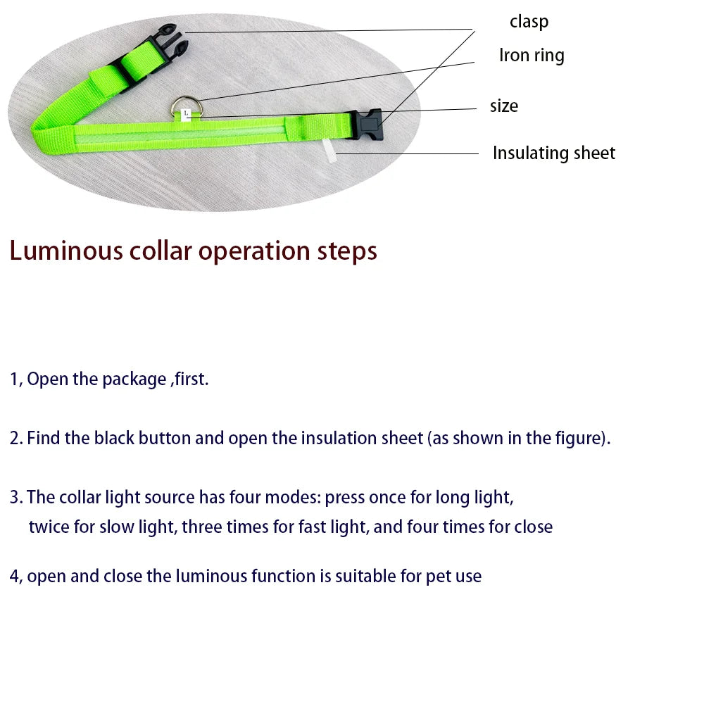 Laisse LED pour chien – Sécurité nocturne fluorescente en nylon