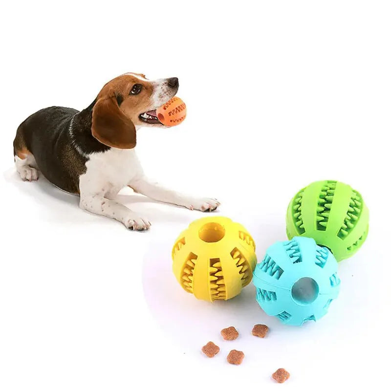 Balle de jeu pour chien – Jouet mordant en caoutchouc distributeur de friandises