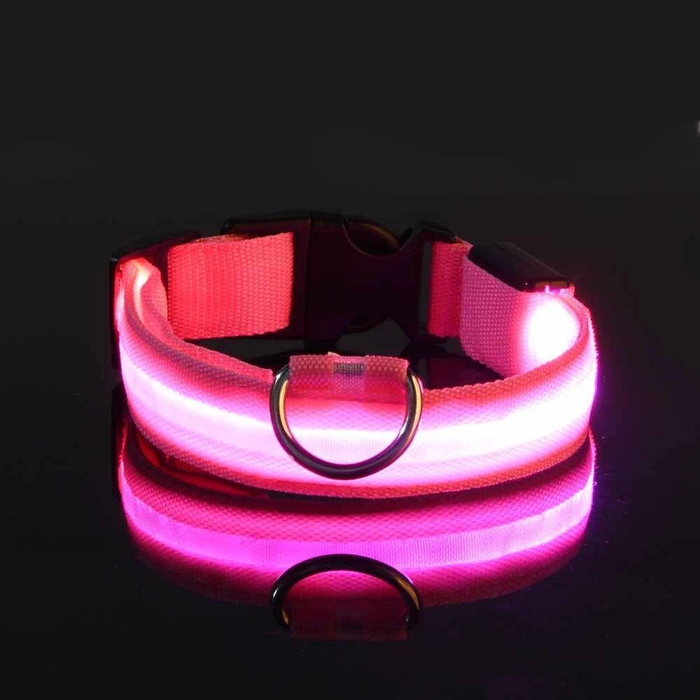 Laisse LED pour chien – Sécurité nocturne fluorescente en nylon